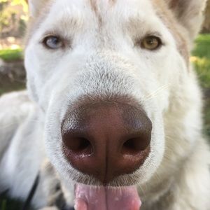 Meet your Posher, Edie